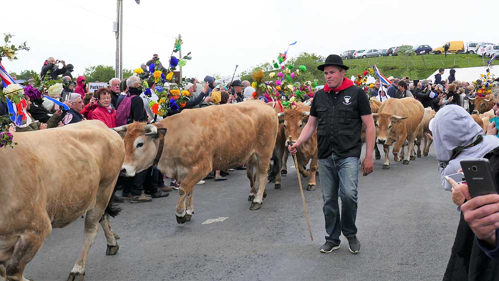 Transhumance Lozère